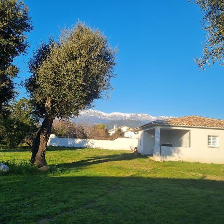 Апартаменты Location "Casa Monna" Prunelli-di-Fiumorbo Экстерьер фото