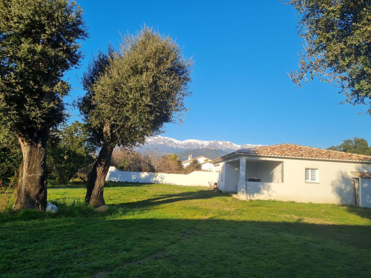 Апартаменты Location "Casa Monna" Prunelli-di-Fiumorbo Экстерьер фото